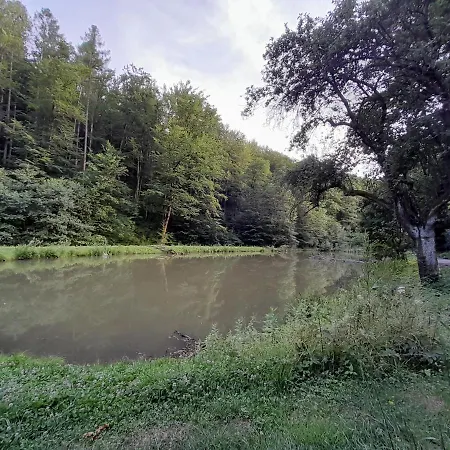 Apartamento Pohoda Salas U Velehradu-2 *